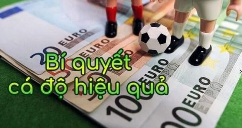 Nắm rõ luật chơi trước khi bắt đầu