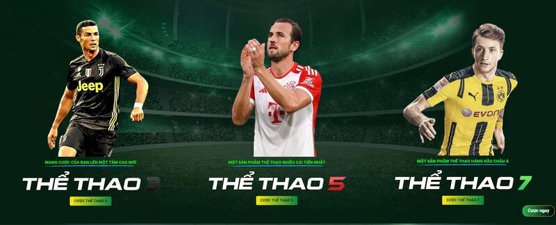 Khám phá về chúng tôi