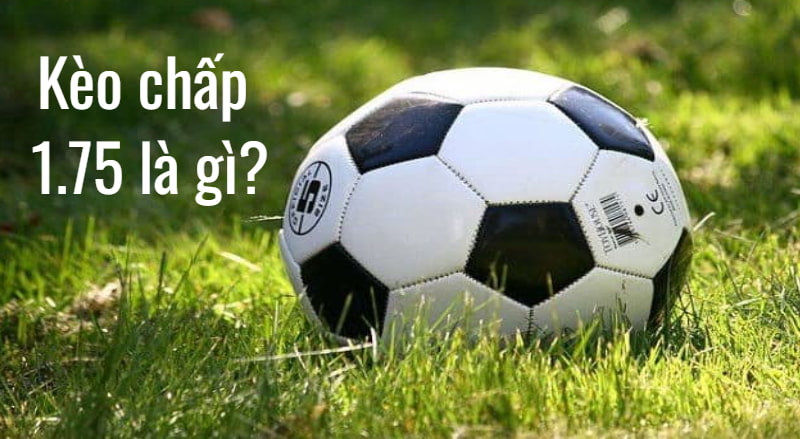 khái quát kèo chấp 1.75 là gì