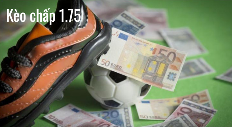 Nghiên cứu phong độ và thứ hạng từng đội